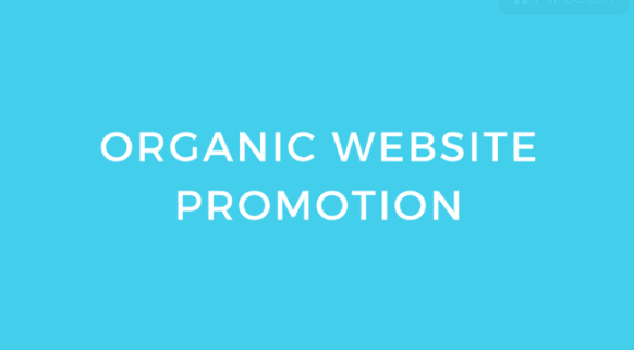 do organic promotion for your website