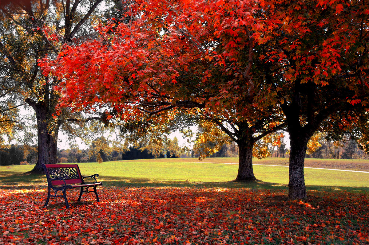do a photo editing such as edit, manipulate and retouch any kind of photo/photograph, picture and image as your instruction