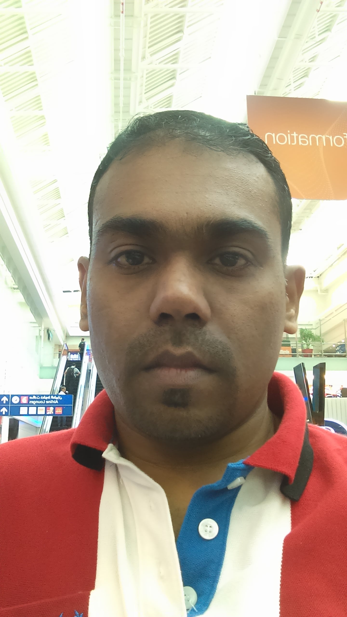 Directory Creator 1000 backlinks within 5 hour