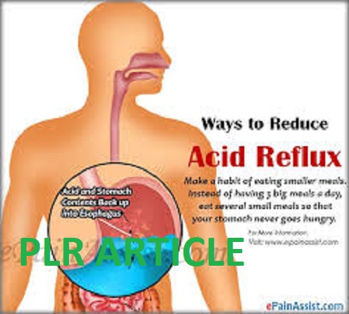 give you 25 Acid Reflux plr articles and up to 250 keywords