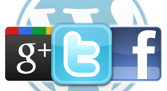 supply 20 Google plus+1,25 Facebook share,25 Twitter retweet,20 Stumbleupone Votes,15 Delicious Saves,15 Pinterest Pin 