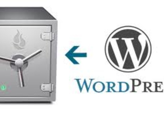 backup of  your WordPress in 2 days securely and improve site load speeds with CloudFlare