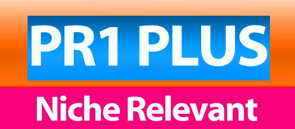 do 5 PR1 Plus High Quality niche relevant no follow blog comments manually