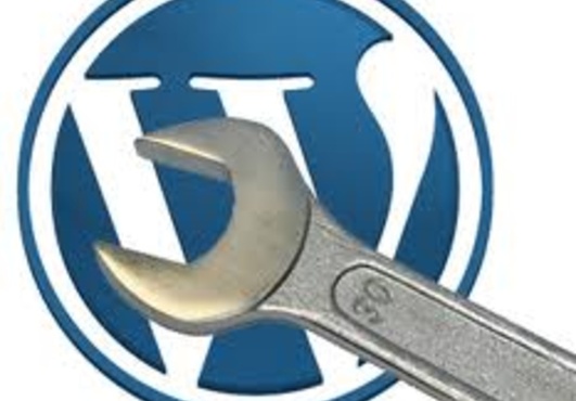 install wordpress with theme and plugin on your server ..@