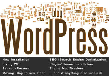install, fix, move, optimize WordPress Blog/Themes and also install Plugins ..@