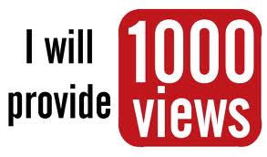 provide 1000 youtube views, 50+ likes,50 +subscribes
