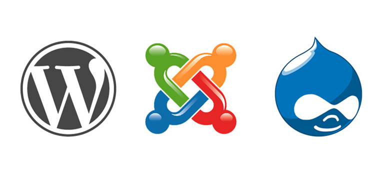 install and setup Wordpress or Joomla or Drupal in your hosting only
