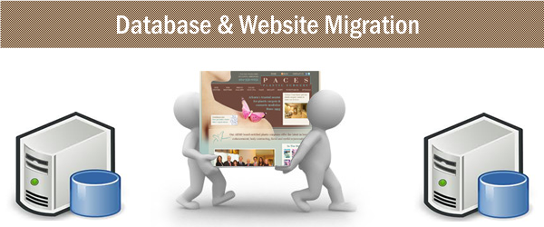 migrate your website, database, domain and SSL