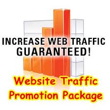 Drive 20000 Visitors To Your Site and Blog For A Month
