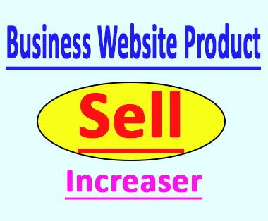 Happy Christmas Offer Increase Your Website Product Sell to Real Customers