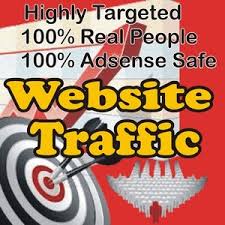 send 1000 real targeted USA and all world visitors to your website,business