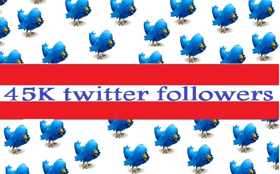 add 45,000+ guaranteed twitter followers to your twitter account in less than 25 hours even without admin access