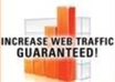 show five Super Fast, Easy Strategies To Get Traffic To Your Niche Sites