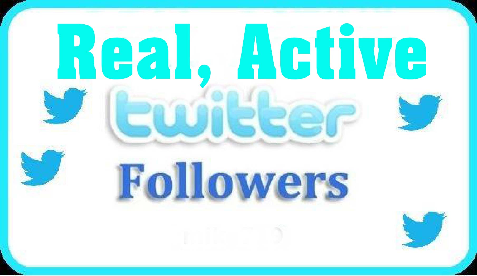 get you 500+ Real + ACTIVE Twitter followers, Not Fake Accounts or Bots, Real Human People, a Truly Unique Gig Indeed, Do Not Pass This Up