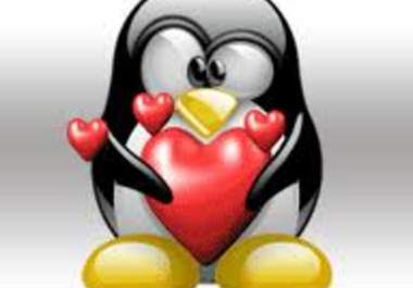 build a safe panda and PENGUIN 3 tiers link pyramid with 50 high quality links and 10000 profile links..@