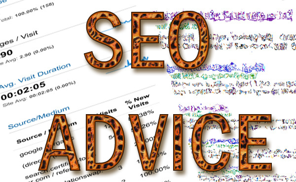 give you expert seo advice for ur website