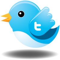 increase 16,000 Plus REAL looking Twitter Followers To Any Twitter Account No Unfollows No Eggs