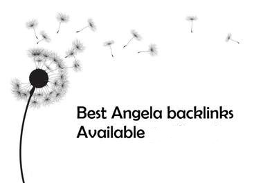 put your site on @FIRST page google with 700+ pr 9 to 2 Angela style backlinks