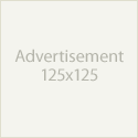 add your 250x250 Size Web Banner on my PR2 blog for 30 days