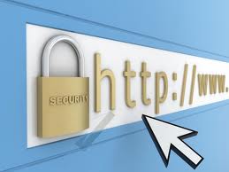 ensure your Website security or find Vulnerability [contact me before order]