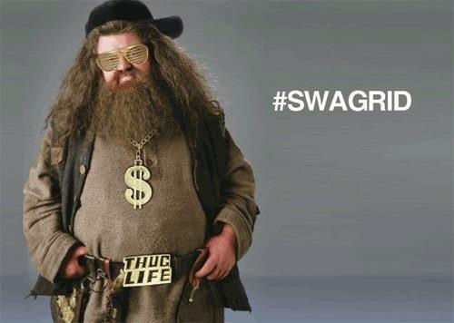 provide you with 50,000 funny images for your picture website
