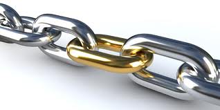 manually create Panda Penguin Safe Backlinks on 15 [PR9 PR10] Web2.0 Forums Profiles with Links from different Site
