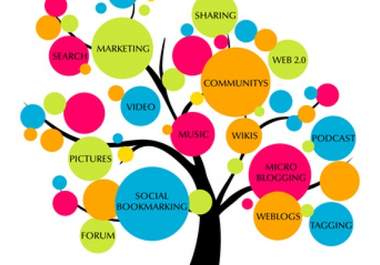 create 1 Edu Blog, 3 Doc Shares, 6 Web 2, 20 Social Bookmarks, 120 High pr Profiles ,1000 Wiki Backlinks + Various Social Signals...........