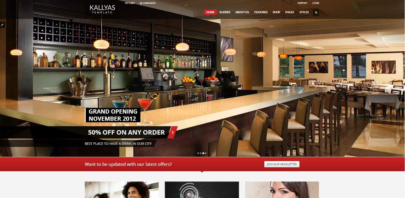 provide and install a HIGH QUALITY Wordpress Theme and 10 FREE WP Plugins