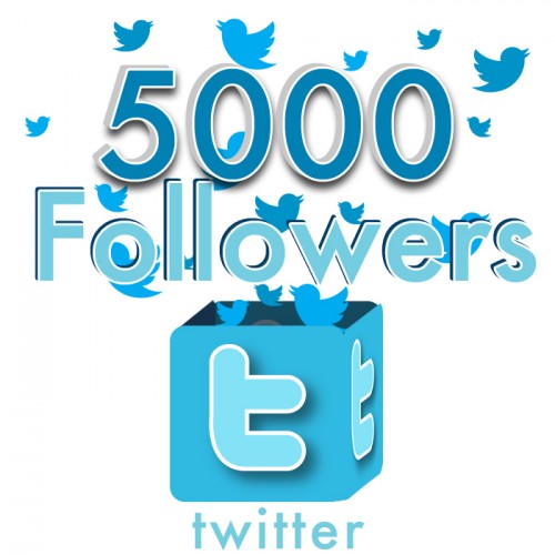 increase 5000 Plus REAL looking Twitter Followers To Any Twitter Account No Unfollows No Eggs
