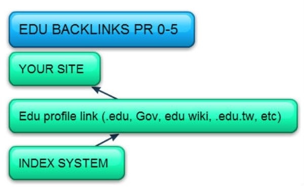 manually provide 55 backlinks from edu profile links for your site