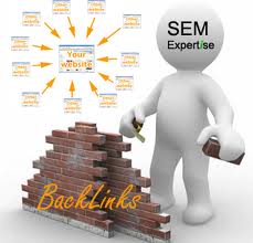 create over 500 backlinks use Senuke X 