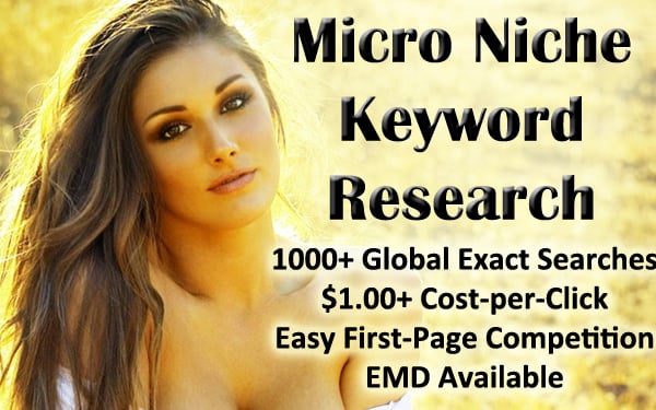 provide you a high quality micro niche site keyword