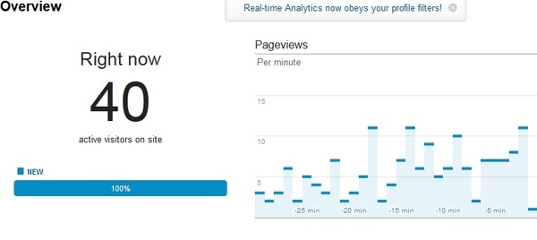 give you instant 30 days pernament web traffic You will get real visitors in few minutes also you will receive access to secret website only