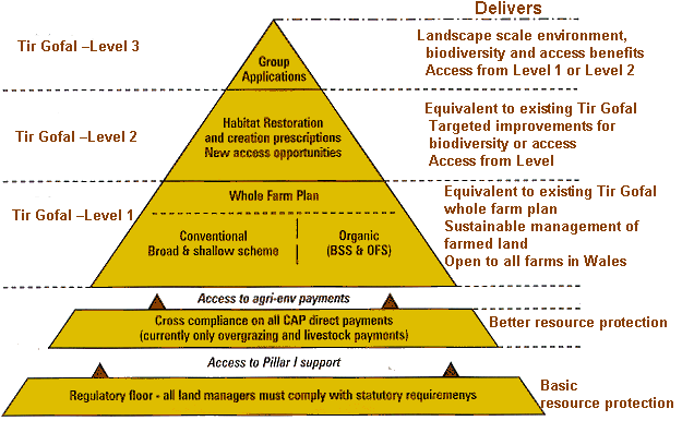 ★$★ super edu Pyramid with 300+ edu links and 4000 PR8 to PR3 SEO backlinks in tier2, highest authority ★$★