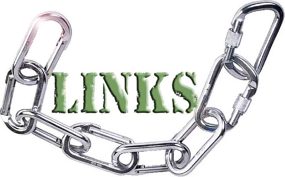 make 500 Low OBL backlinks  