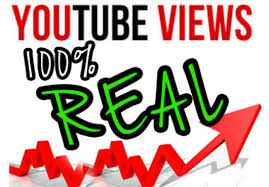 provide you 1000 youtube views + 50 likes within 3 days
