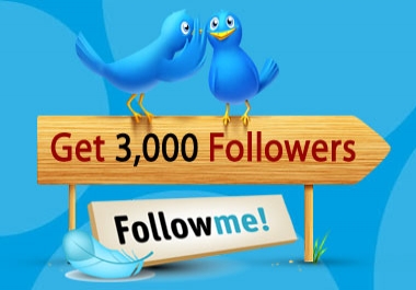 provide 3000+ Twitter Real-Looking Followers