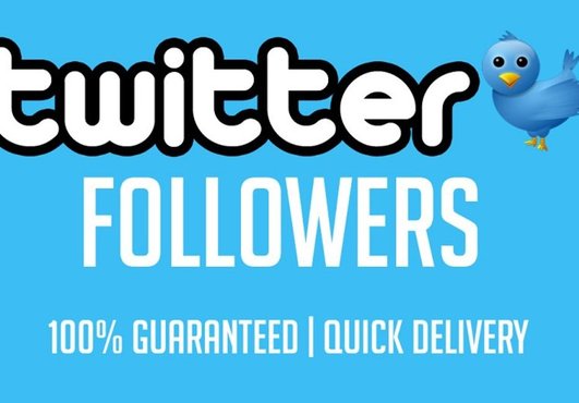 send You 15,000+ Real Looking Twitter FOLLOWERS within 24 Hour!!!!