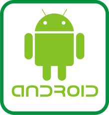 convert your website into an android app