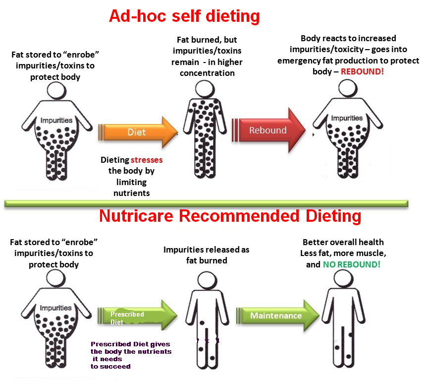 prepare customized diet plan