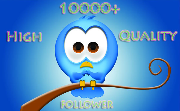  get you 10500+ Twitter FOLLOWERS that you can split between 2 accounts or put all on one in less than 24 hours 