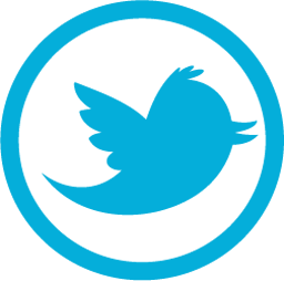 give you 500 fully profiled Twitter accounts