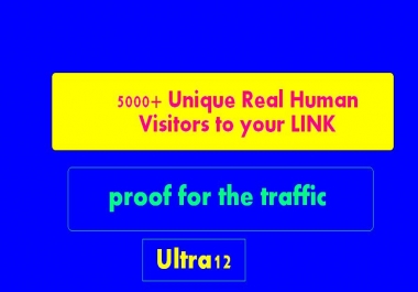 @Send 5000+ Unique real human visitors to your LINK and proof for the traffic just@