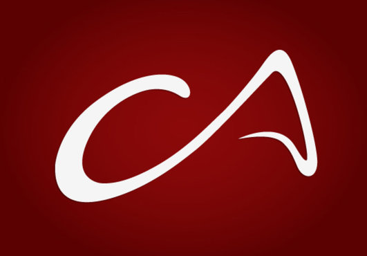 will design PROFESSIONAL unique logo