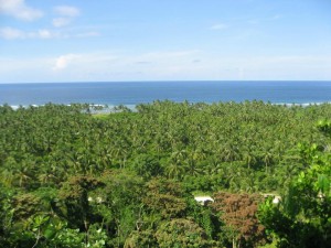 Make a Blog Review on my Travel Site