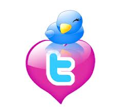 give you 600+ twitter followers 100% real and safe for your account 100% manually done only
