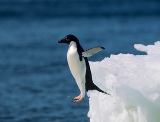  recover your websites from Penguin Update 