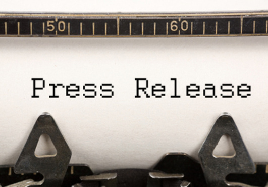 write a Professional Press Release 400 to 450 Words in 24 Hours @!
