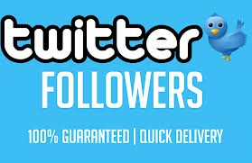 give 5000+ Unique PERMANENT Twitter Followers Fast Within 20 Hours**