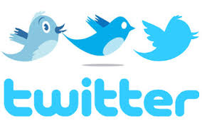add 13000 TopQuality Permanent Twitter Followers to Your Twitter Account within 22 hour